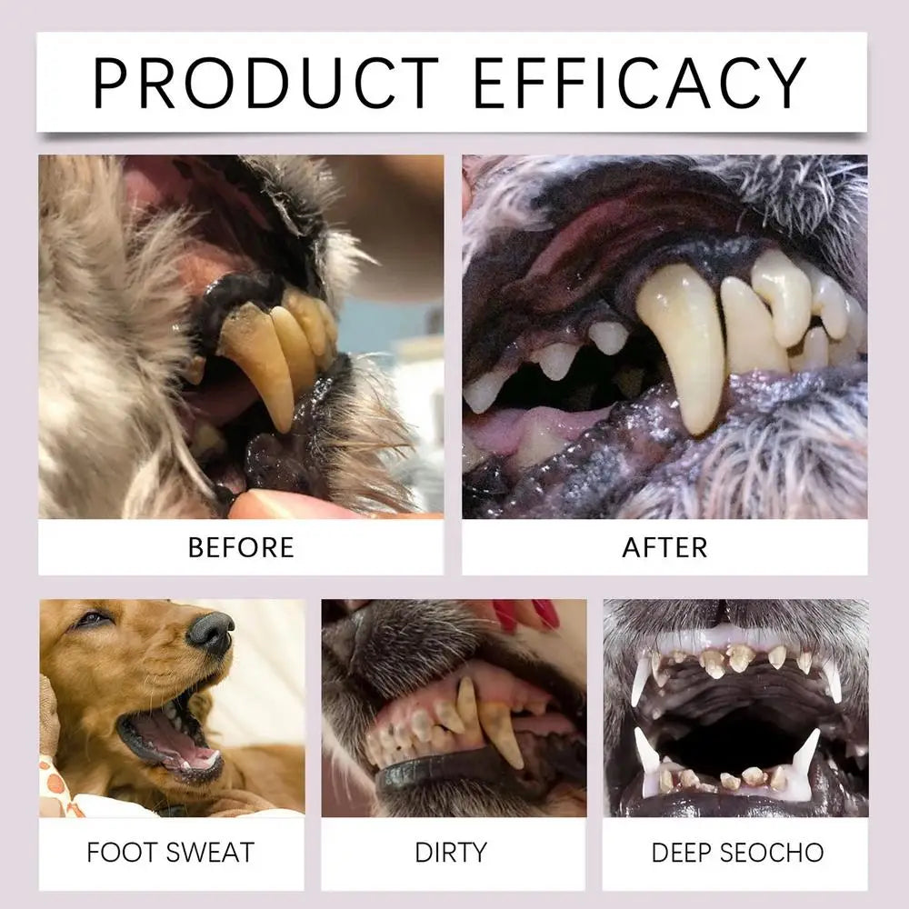 98garageᵀᴹ Pet Teeth Cleaning