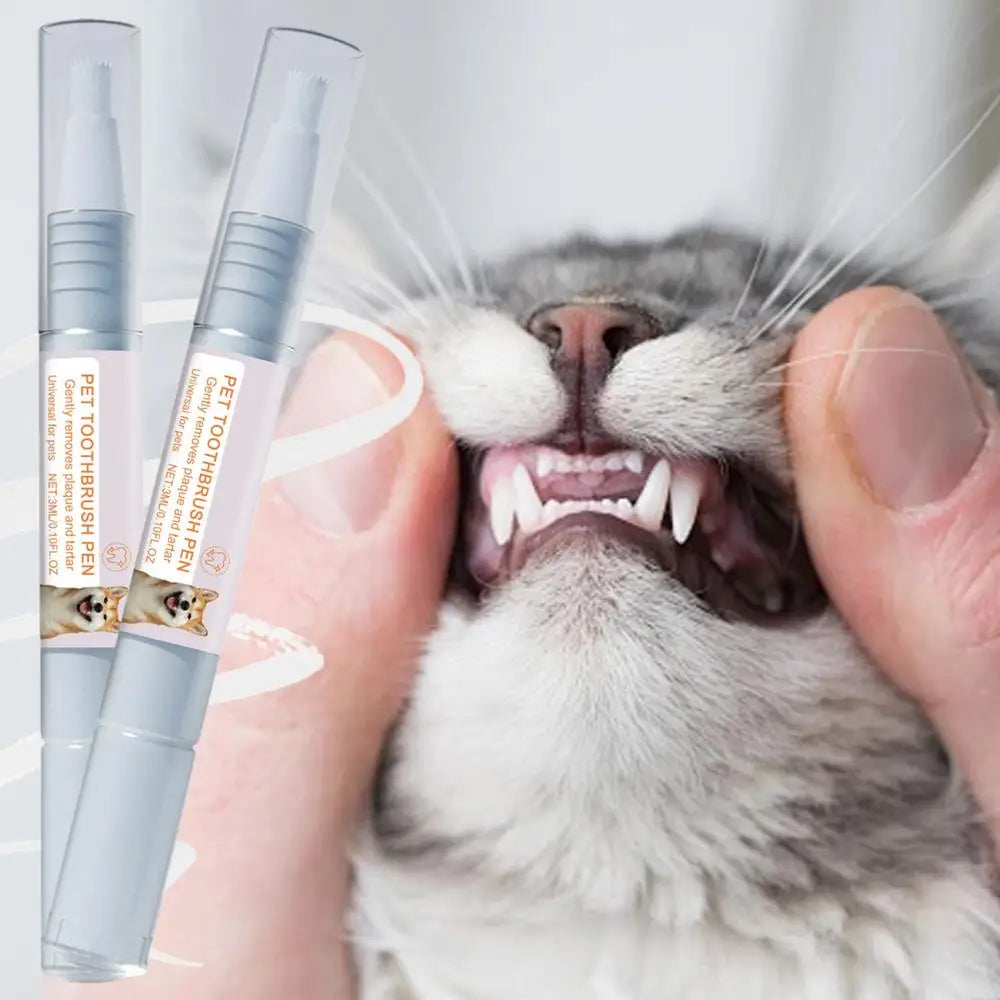 98garageᵀᴹ Pet Teeth Cleaning