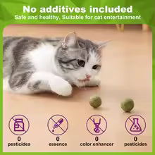 10 Pcs Natural Catnip Balls Licker