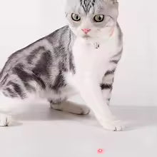 Cat LED Laser Teasing Toy