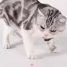 Cat LED Laser Teasing Toy