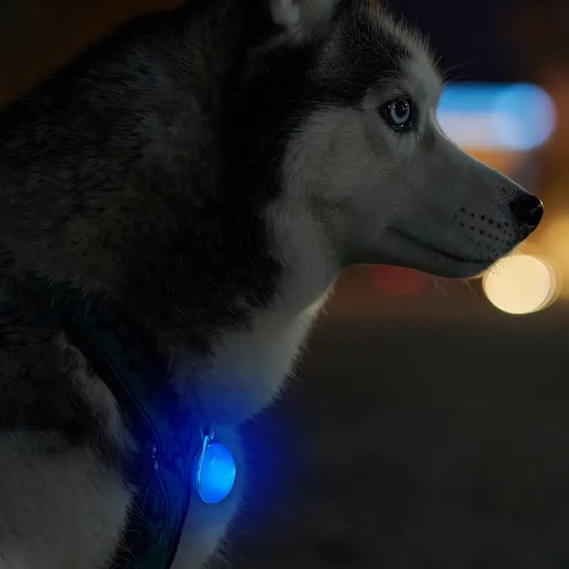 1Pc Bright LED Pet Pendants