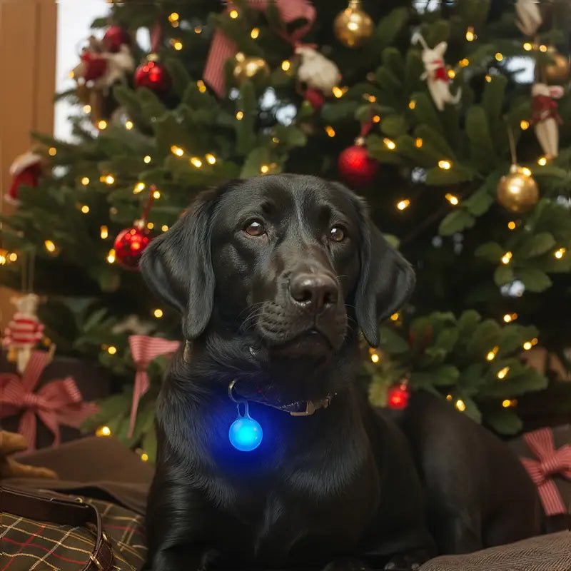1Pc Bright LED Pet Pendants