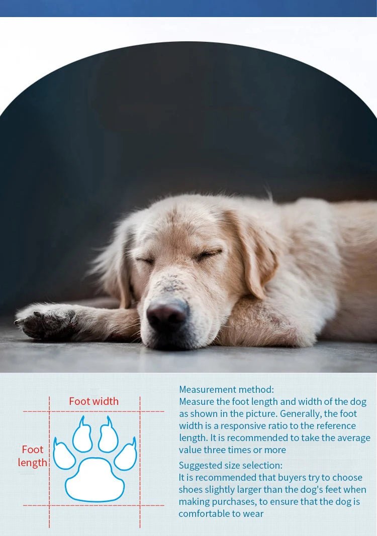 4pcs Blue Waterproof Pet Rain Boots