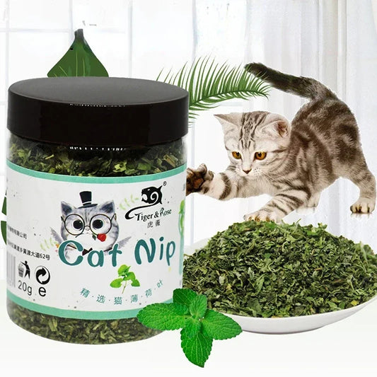 Natural High Quality Organic Catnip Grass