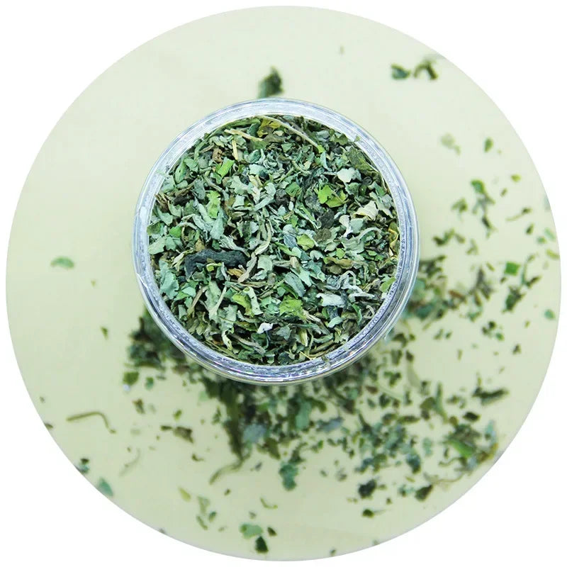Natural High Quality Organic Catnip Grass