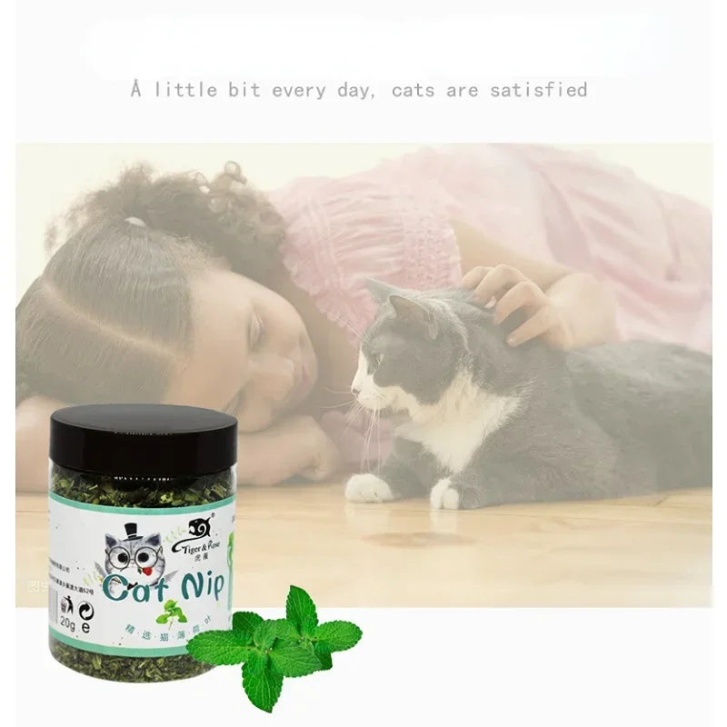 Natural High Quality Organic Catnip Grass
