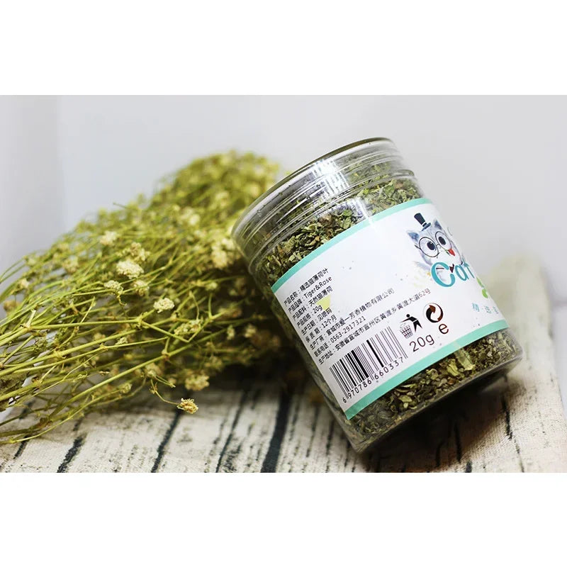 Natural High Quality Organic Catnip Grass