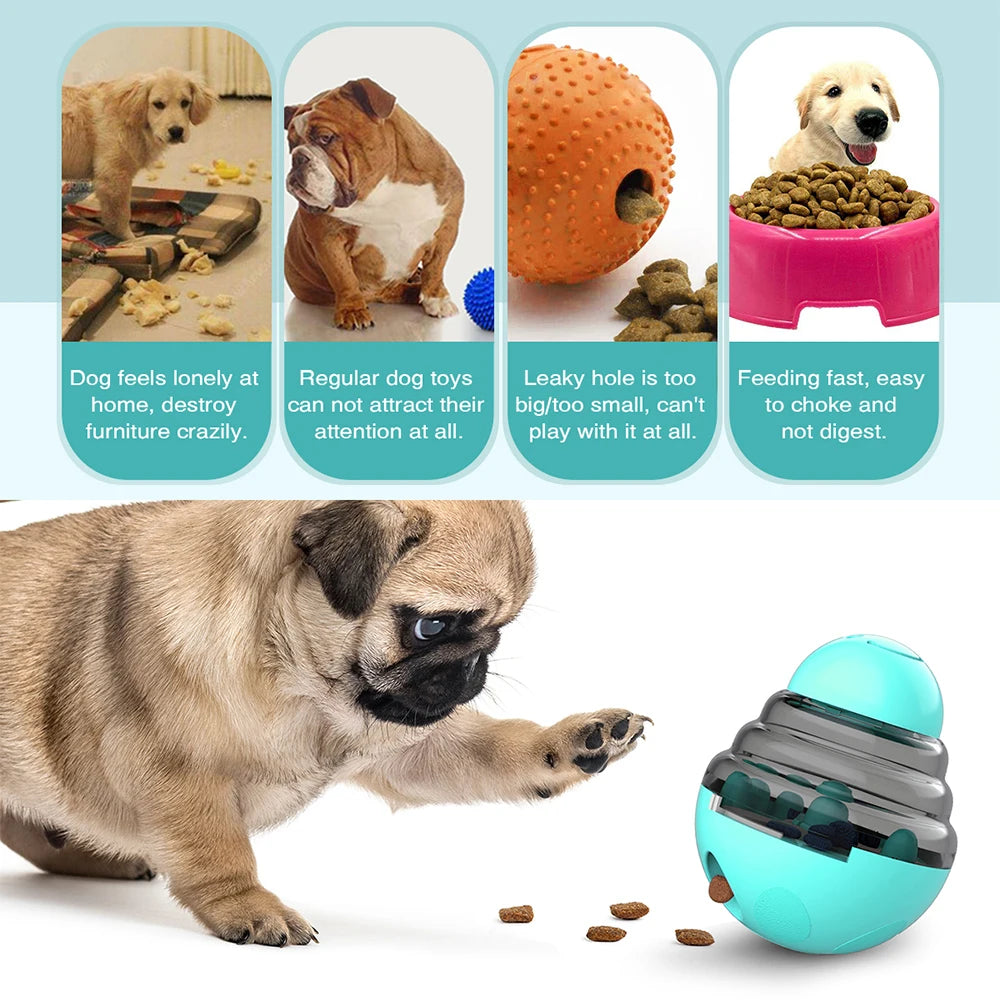 Dog Treat Interactive Dispenser