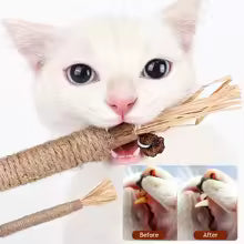 1Pc Cat Raffia Grass Silvervine Chew Stick