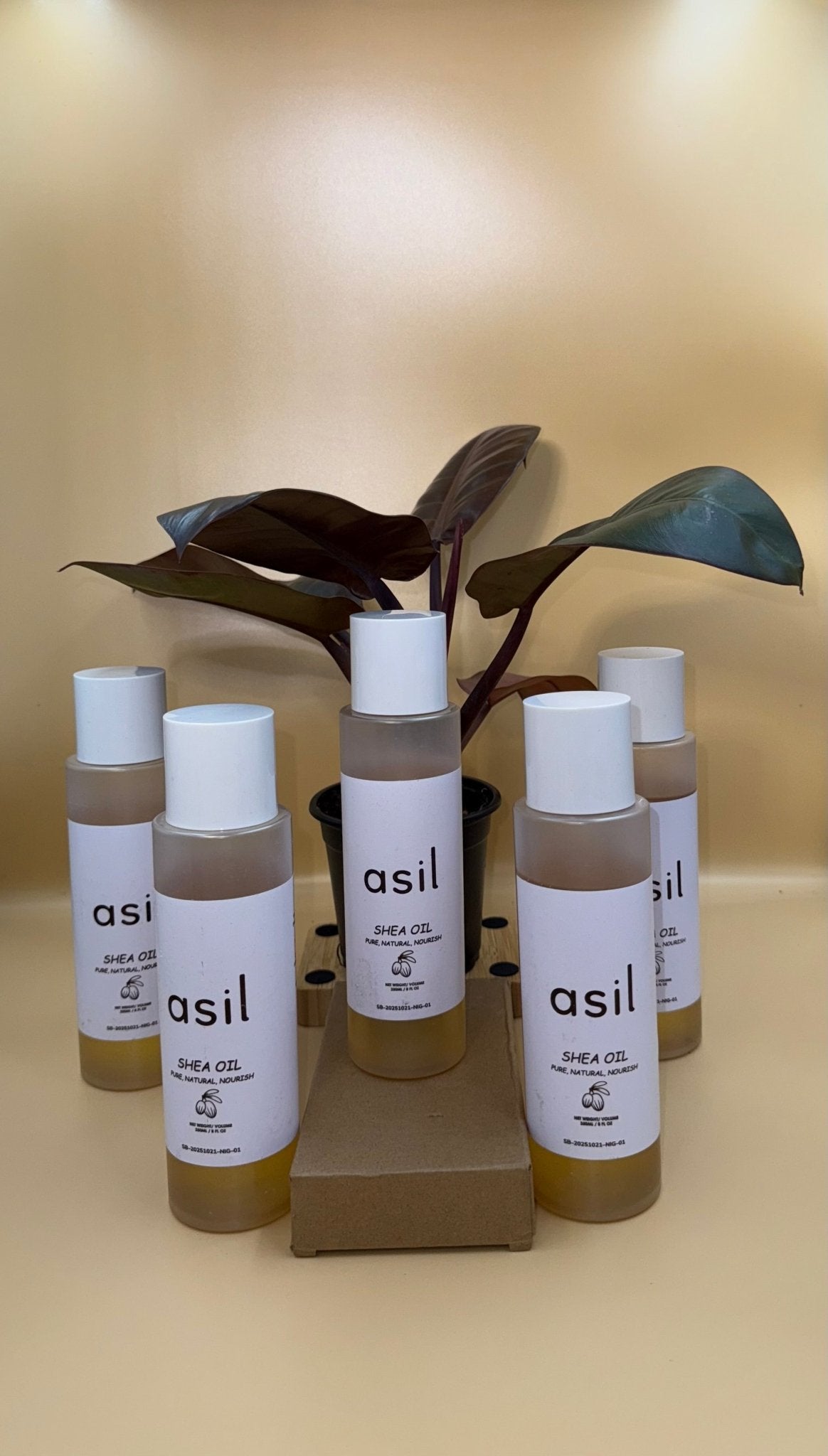 asil - Shea Oil