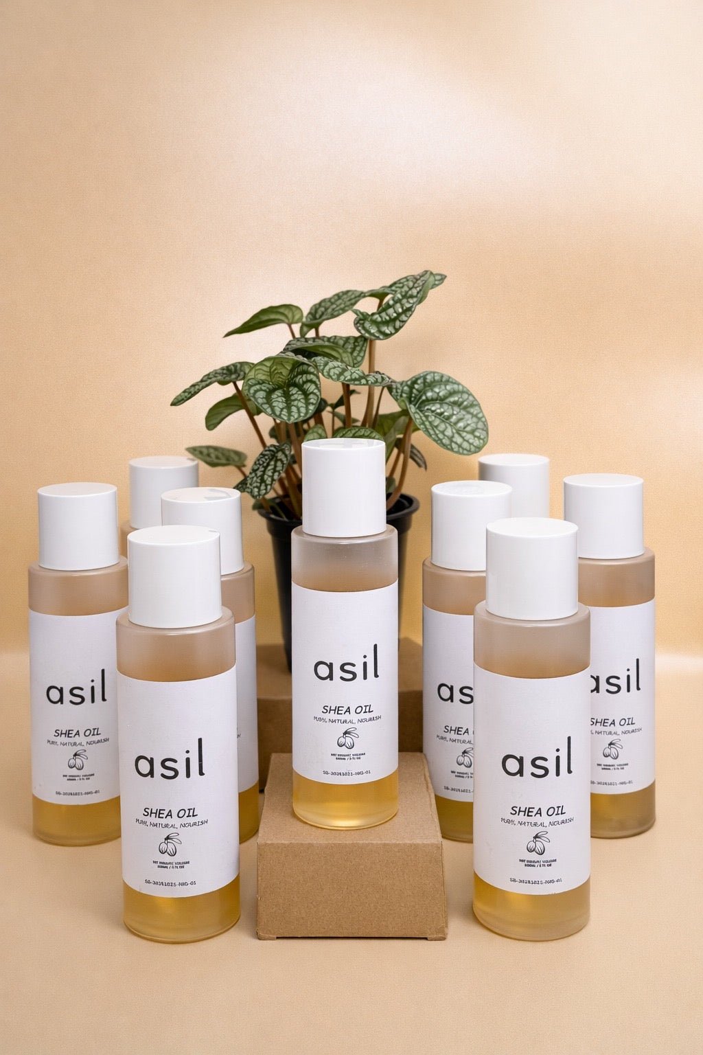 asil - Shea Oil