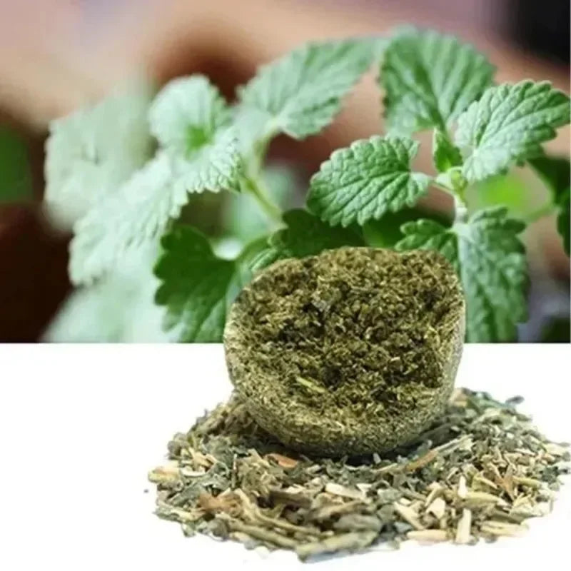 10 Pcs Natural Catnip Balls Licker