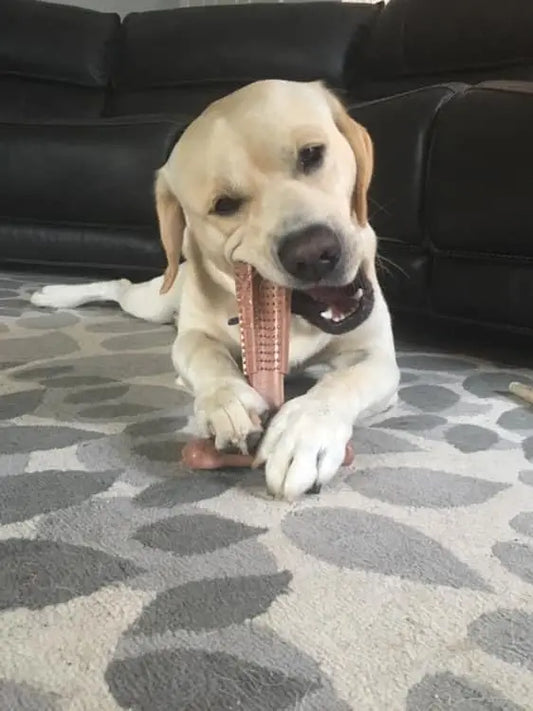 Durable Oral Care Dog Chew Toy