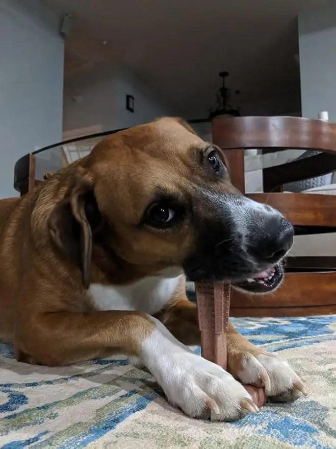 Durable Oral Care Dog Chew Toy