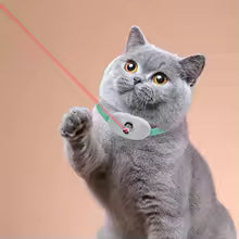 Cat LED Laser Teasing Toy