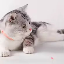 Cat LED Laser Teasing Toy