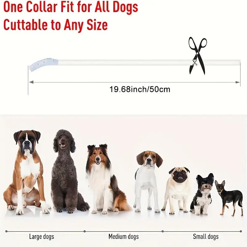 Luminous USB Rechargeable Dog Collar