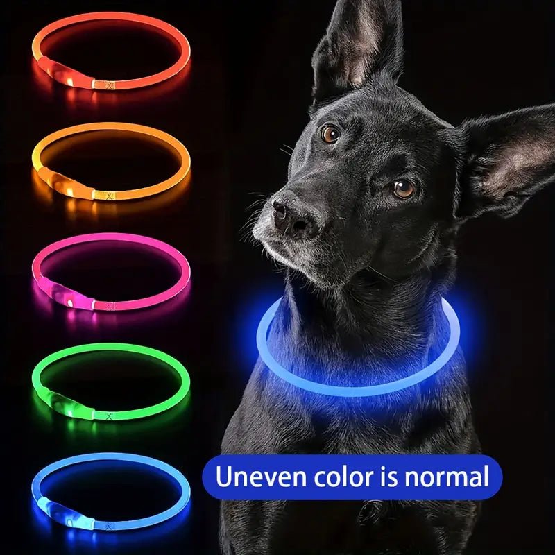 Luminous USB Rechargeable Dog Collar
