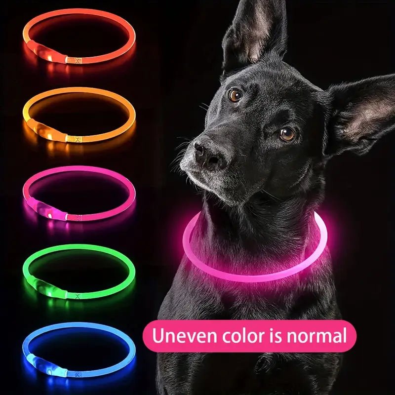 Luminous USB Rechargeable Dog Collar