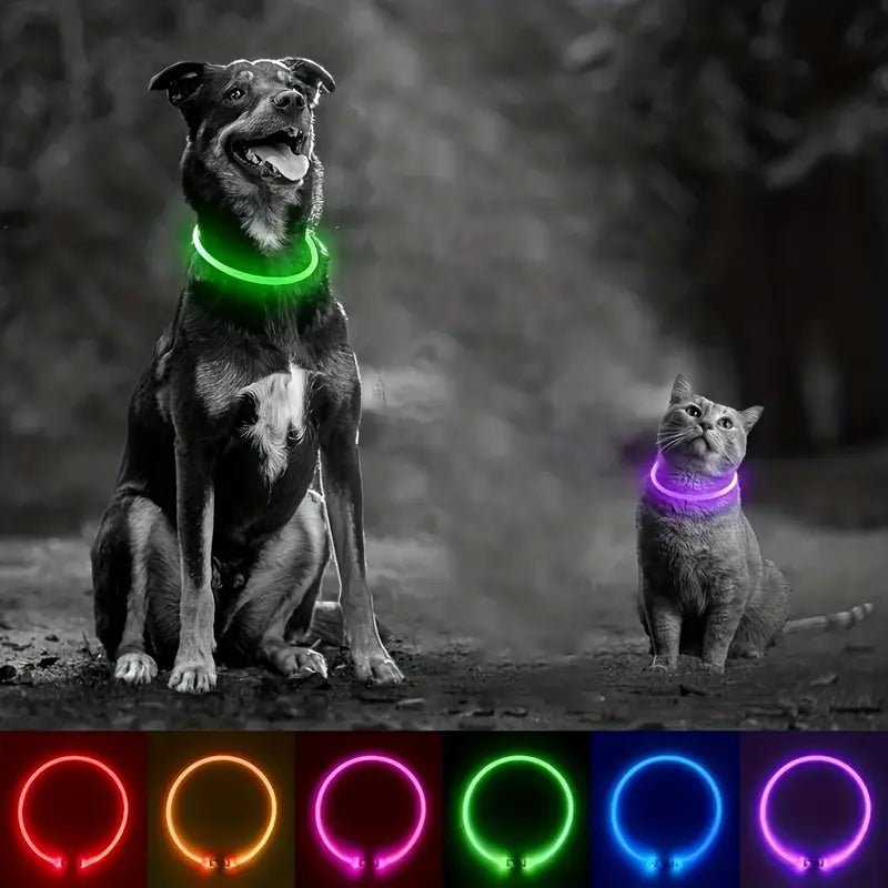 Luminous USB Rechargeable Dog Collar