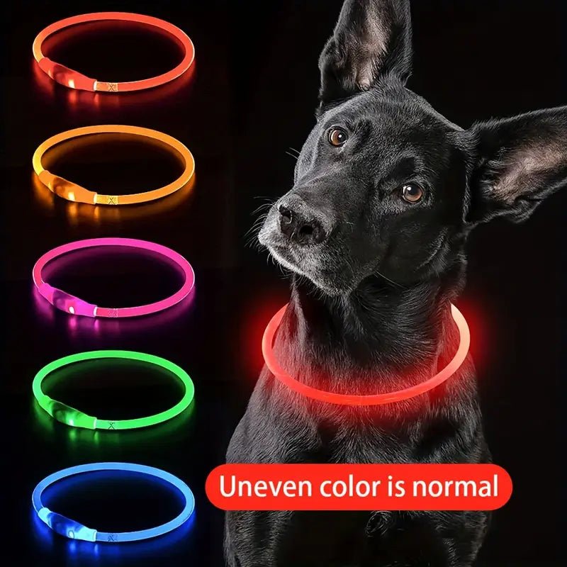 Luminous USB Rechargeable Dog Collar