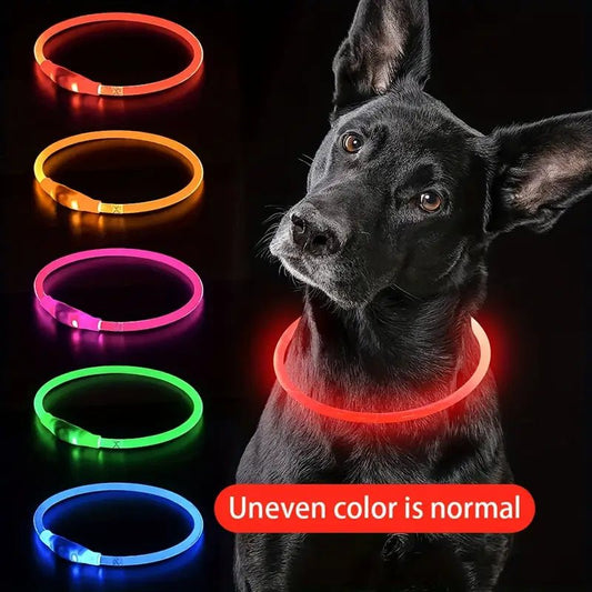 Luminous USB Rechargeable Dog Collar