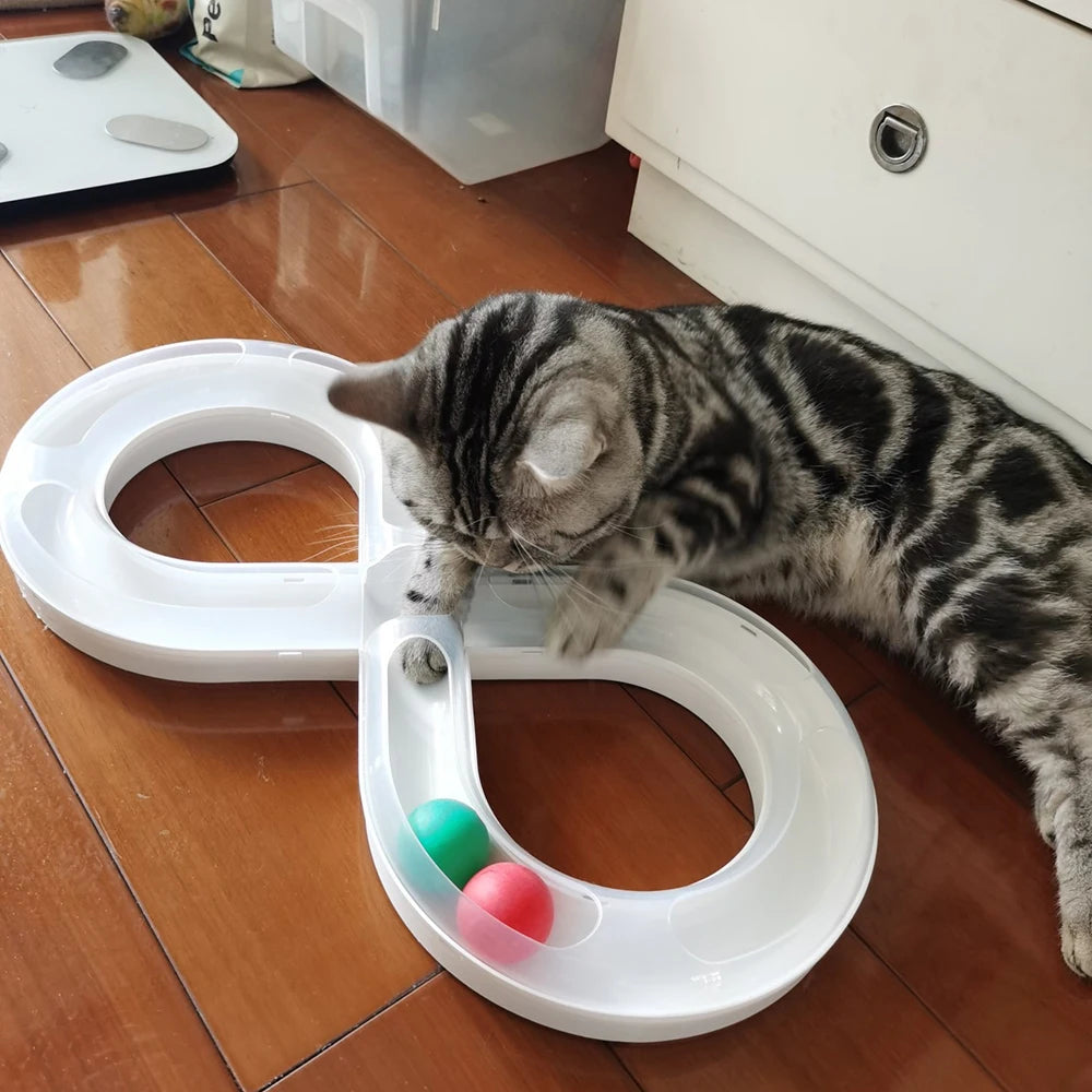 Cat Turntable Teasing Set Tunnel